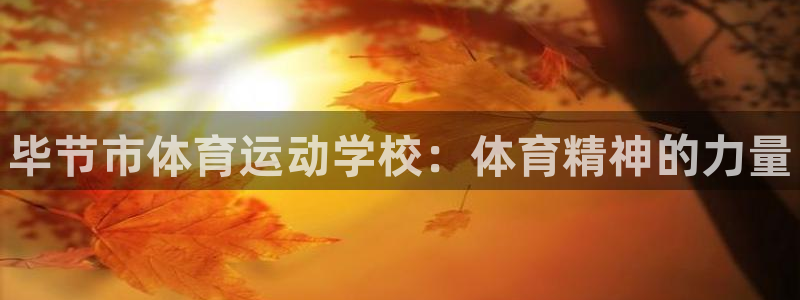 凯发官方正版app集团官网首页:毕节市体育运动学校:体育精神