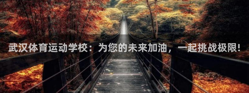 凯发官方正版app集团简介:武汉体育运动学校:为您的未来加油