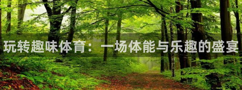 凯发官方正版app集团E.ON:玩转趣味体育:一场体能与乐趣